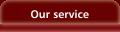 Our service